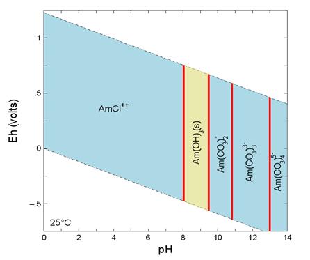 americium2